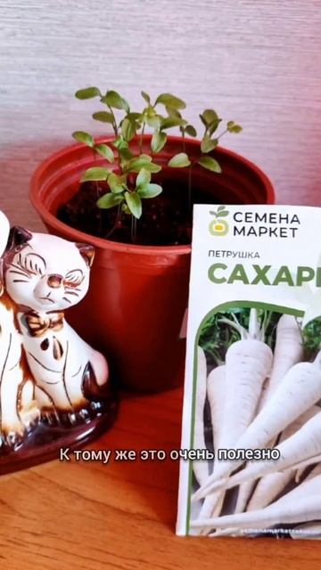 Своя зелень круглый год. #семенамаркет #семена #хештег