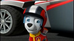 Щенячий патруль Скорей спешим на помощь. Маршалл расстроен