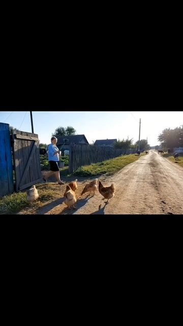 Огромный кекс снова в деревне! кто-то в шоке, а кто-то очень рад 😅 #диета #пп #cake #рецепты #кето