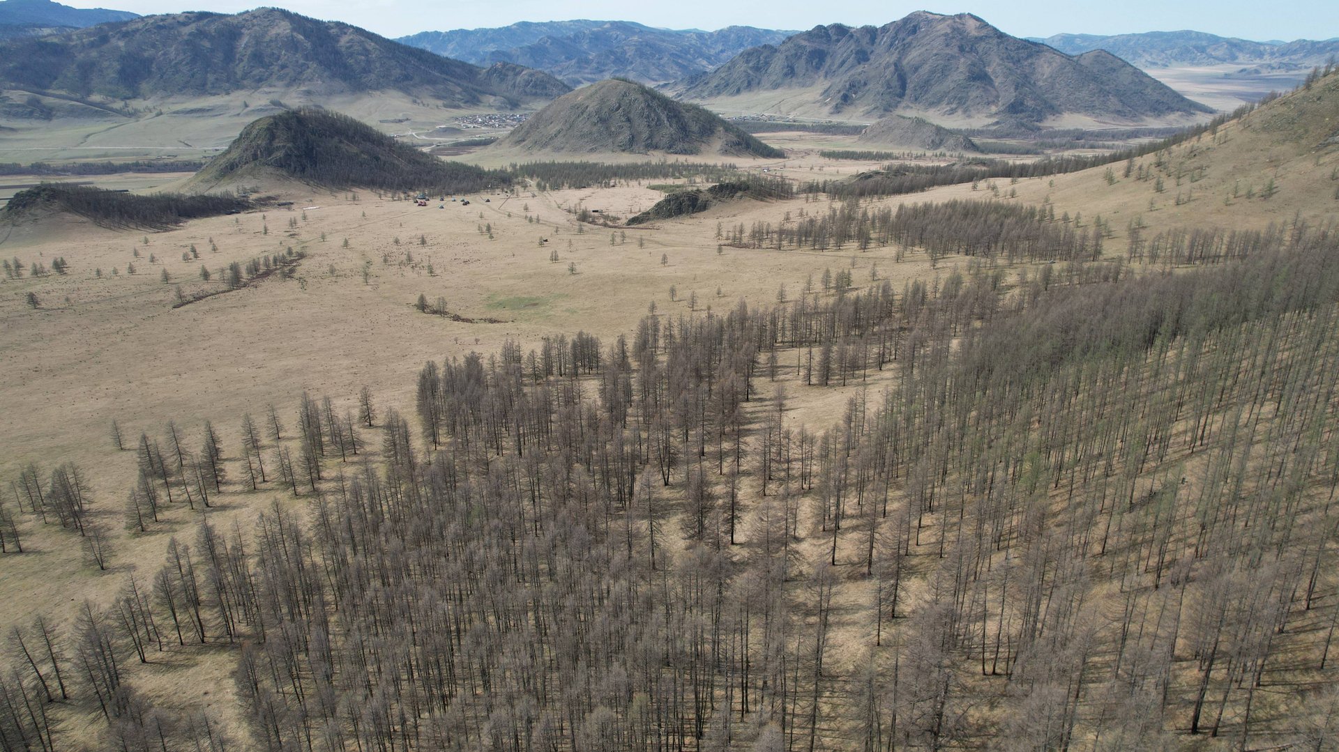 Продажа земельных участков в горном Алтае 526, 527, 530, 531, 532, 533, 538, 539 смотреть онлайн