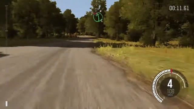 Карыто DiRT Rally