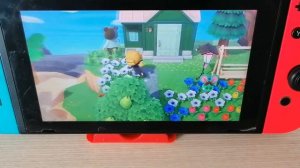 Animal Crossing: New Horizons на Nintendo Switch. Обзор моего острова.