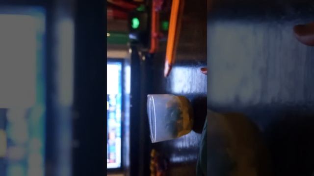 Рико мажор из Браун стар.   Лепка