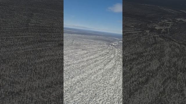 Самолет в Новосибирск. Аэропорт Толмачево смотреть онлайн