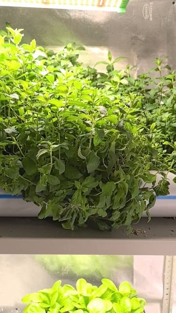 Не теряйте, записываю видео ;)