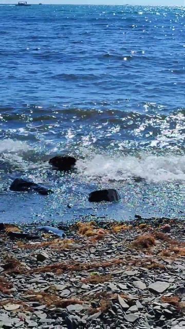 Шум прибоя, волны, море, звуки природы #Утриш #дикий #пл? смотреть онлайн