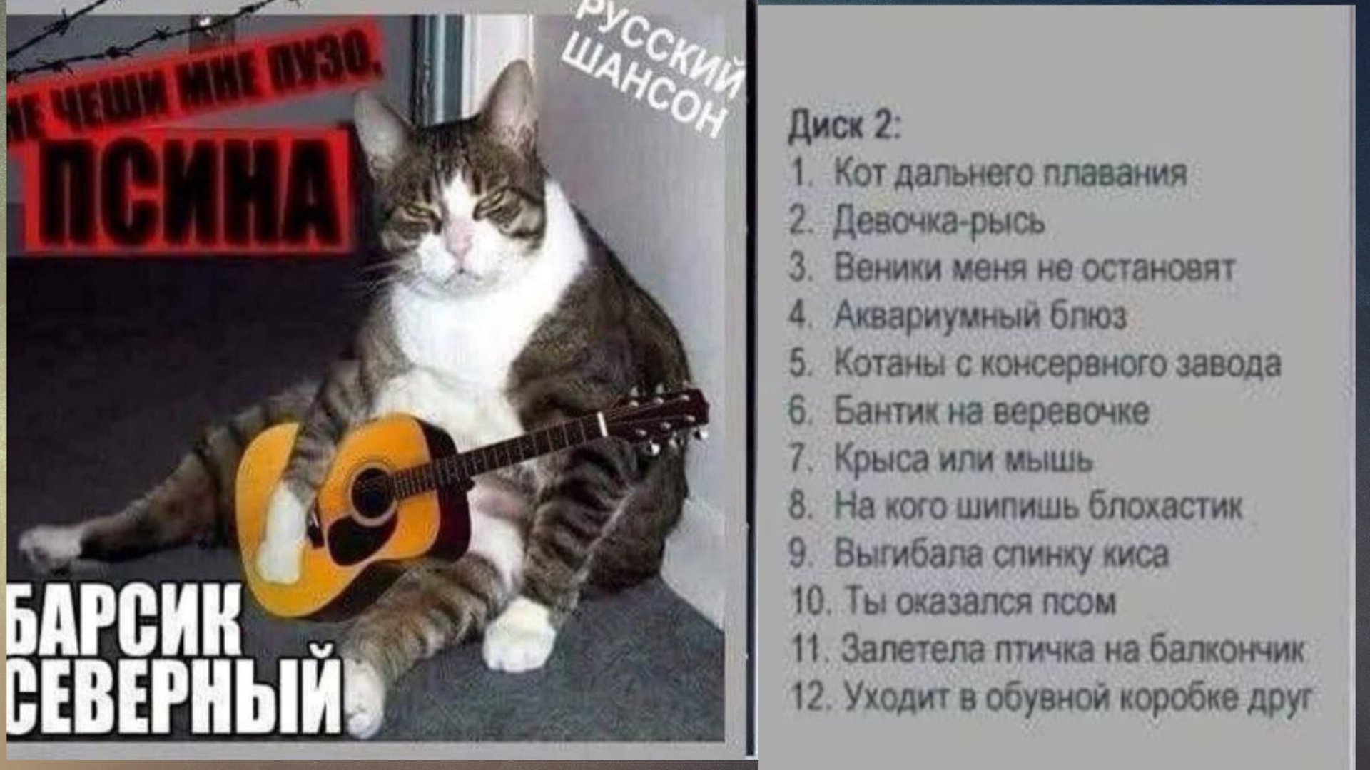 Кот дальнего плавания (второй диск Барсика Северного) смотреть онлайн