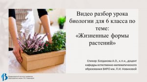 34. Жизненные формы растений