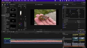 Как размыть или заблюрить объект в Final Cut Pro | How to Blur in Fina