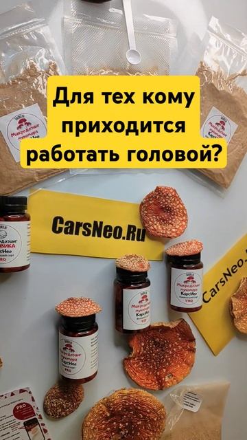 Для тех кому приходится работать головой? #мухомор #пп смотреть онлайн