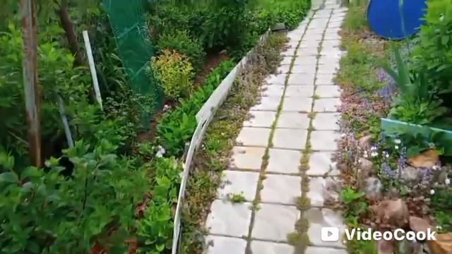 Собираем жимолость смотреть онлайн