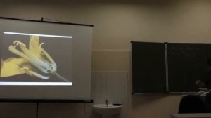 Морфология растений. Часть 2. Платонова А. Г. 03.11.2014 edit