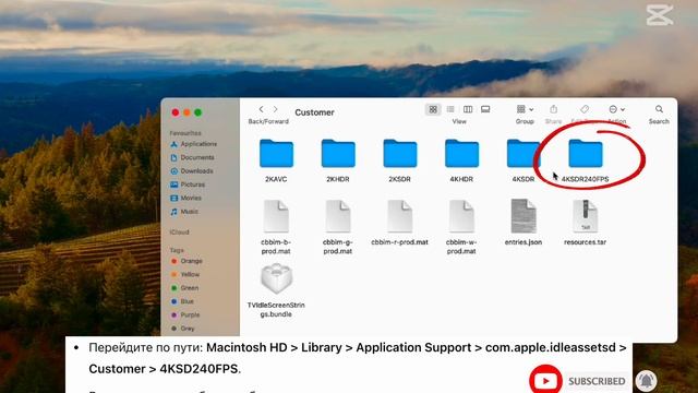 Как установить своё видео в качестве живых обоев на Mac смотреть онлайн
