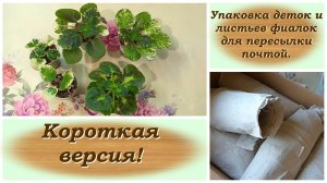 Упаковка деток и листьев фиалок для пересылки почтой. Короткая версия!