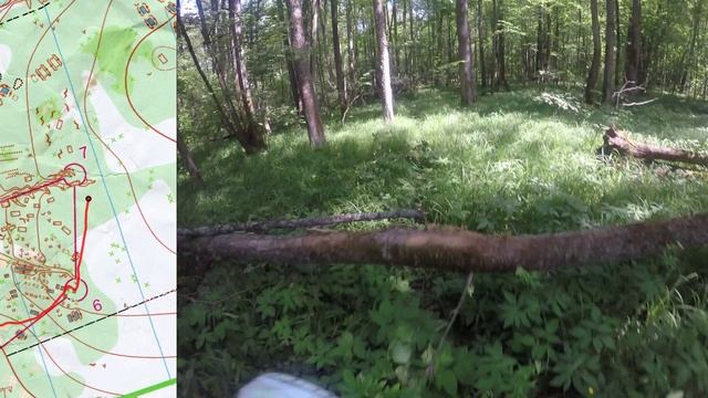 01 06 25, Тесницкий, ЧиП ТО, М16, Ярослав, headcam orienteering
