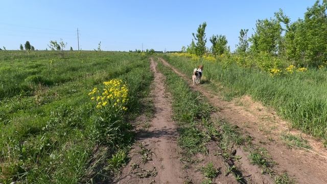 Утро в деревеньке.