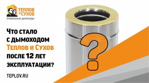 Что стало с дымоходом Теплов и Сухов после 12 лет эксплуатации?!