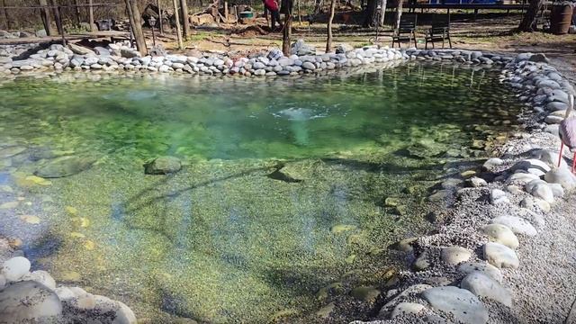 Пруд для дачи