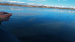 Рыбалка на свири.Shimano Twin power 24 кидает петли.😱🤫Забродн