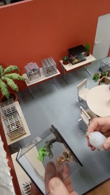 Работа над макетом живого уголка. смотреть онлайн