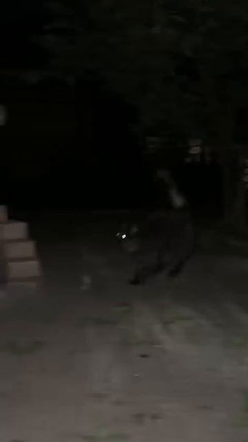 ДОМАШНИЙ КВАС без дрожжей смотреть онлайн