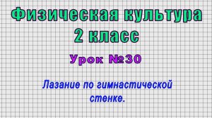 Физическая культура 2 класс (Урок№30 - Лазание по гимнастической стенке.)