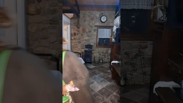 Летние луки. Как и с чем носить казаки и кеды. смотреть онлайн