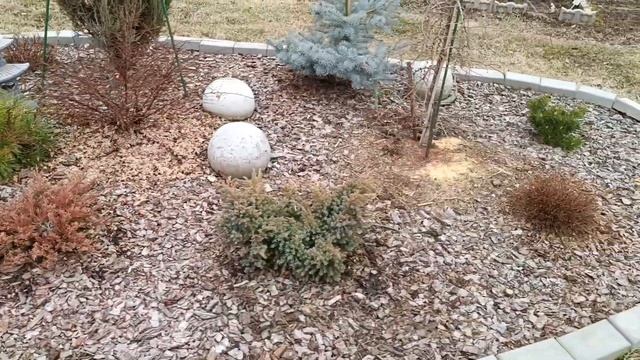 Начало мая. Ожидание тепла. Красноярский край