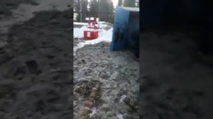 Провалился в туалет.