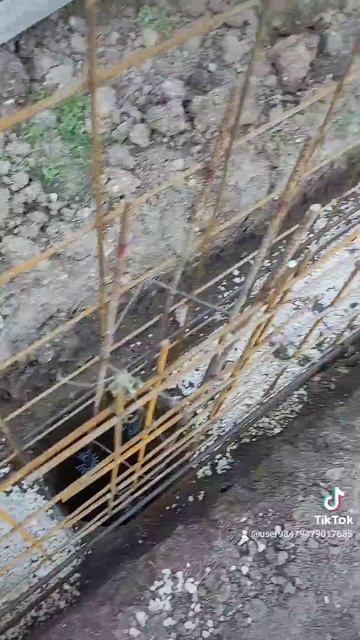 Бетонные работы Болгария смотреть онлайн