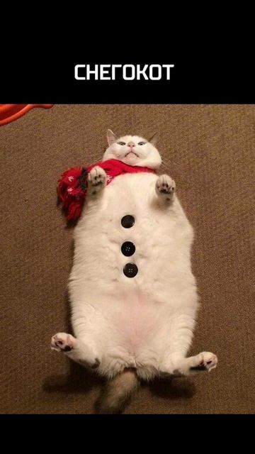 Новогодние обои💙❄️☃️.Скриньте и ставьте на обои)❤?