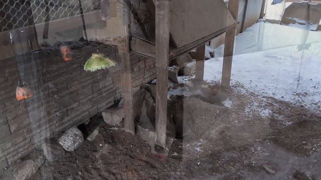 ЗОЛЬНО ПЕСЧАНАЯ ВАННА для кур в зимнее время - особенн? смотреть онлайн