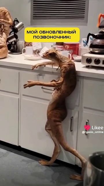 девчата наша тема😸😸😸