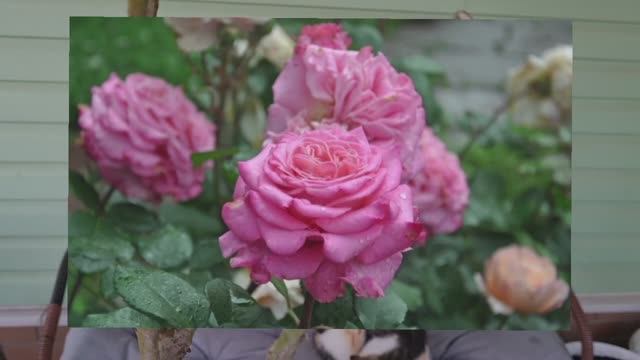 ОБЗОР ПОСЫЛКИ С ШИКАРНЫМИ РОЗАМИ! смотреть онлайн