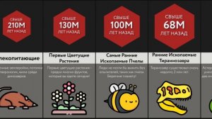 Сравнение_ Эволюция