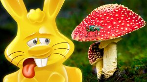 ЖЕЛЕЙНЫЙ ЗАЯЦ ХАРИТОН И ГРИБЫ