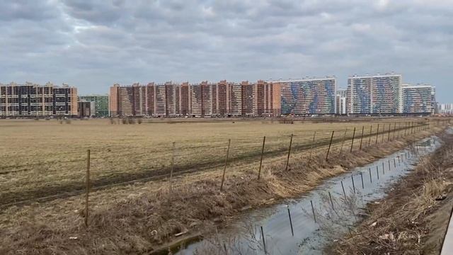 БУГРЫ ИЛИ МУРИНО? / ГДЕ ЛУЧШЕ ЖИТЬ? / НОВАЯ ПОЛИКЛИНИКА/ смотреть онлайн