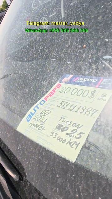 Timeline 1 смотреть онлайн