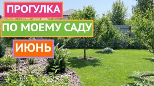 ВОТ ЭТО ЦВЕТЕНИЕ! ПОКАЗЫВАЮ СВОИ РАСТЕНИЯ ВО ВСЕЙ КРАСЕ!