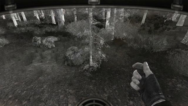 S.T.A.L.K.E.R. NLC 7 build 3.9.1 на МАКСИМАЛЬНОЙ СЛОЖНОСТИ #30 ► Глав? смотреть онлайн