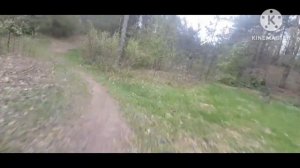 Покатушки на мопеде карпаты по лесу!