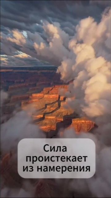 Аффирмация дня