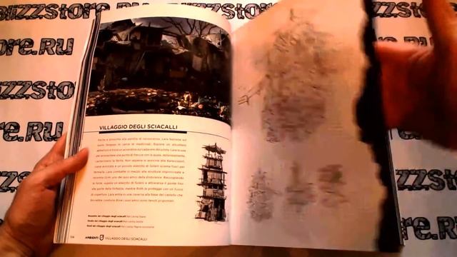 Книга Tomb Raider The Art of Survival