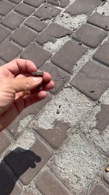 Качественная тротуарная плитка ) гарантия 10 лет 😂 смотреть онлайн