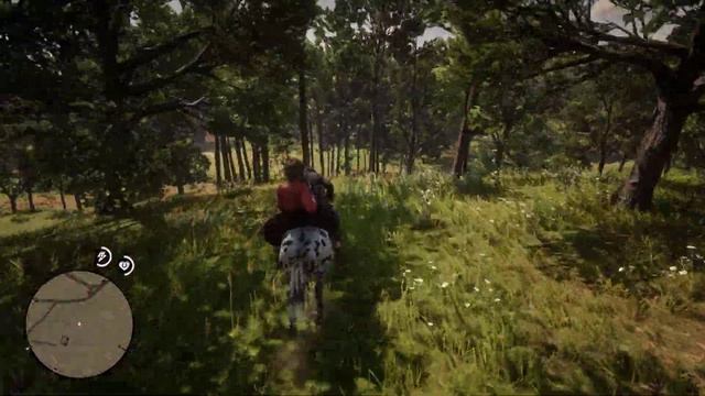 Red Dead Redemption 2. Спасение Тилли.