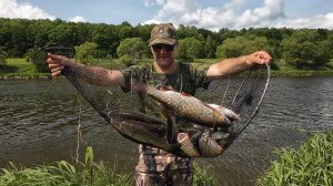 Эта насадка снова не подвела. Рыбалка на Оке.