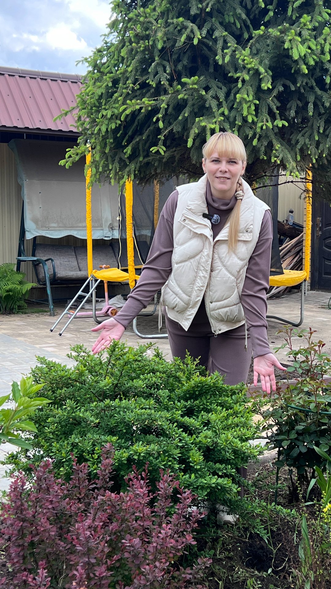 Барбарис Тунберга - основные правила посадки смотреть онлайн
