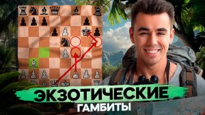 Эти ГАМБИТЫ СВОДЯТ С УМА! ТОП-5 ЭКЗОТИЧЕСКИХ ГАМБИТОВ, О Которых Ты НЕ СЛЫШАЛ!