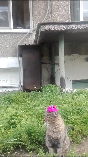 Кадры после съёмки мини фильма который вы увидите пот? смотреть онлайн