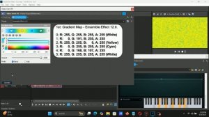 how to make ensemble effect 12.0 on vegas pro